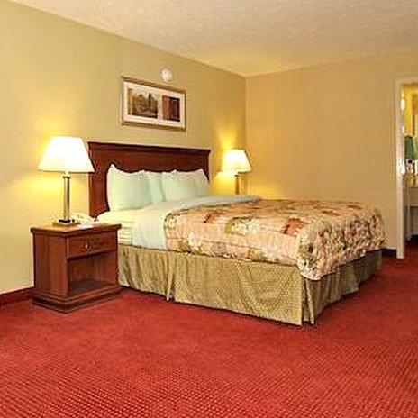 Springfield Inn Tn Chambre photo